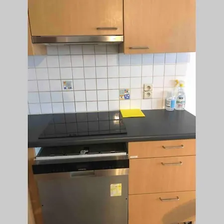 Beerloversappartement 70 M Van Het Strand *