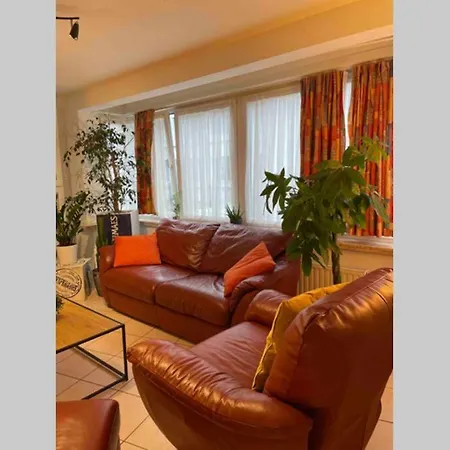 Apartman Beerloversappartement 70 M Van Het Strand *